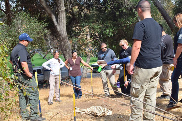 Class observing a demonstration by an instructor. Skeleton lying in the center